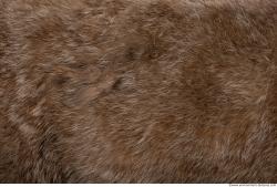 Photo Textures of Animal Skin